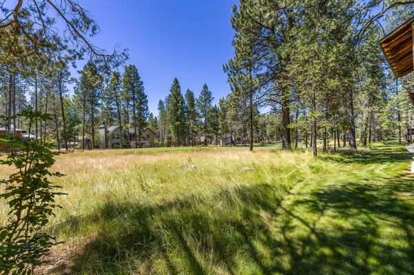 The property is set within a peaceful pine forest meadow, offering natural beauty and seclusion. Tall pines frame the open grassy space, providing shade and mountain tranquility.